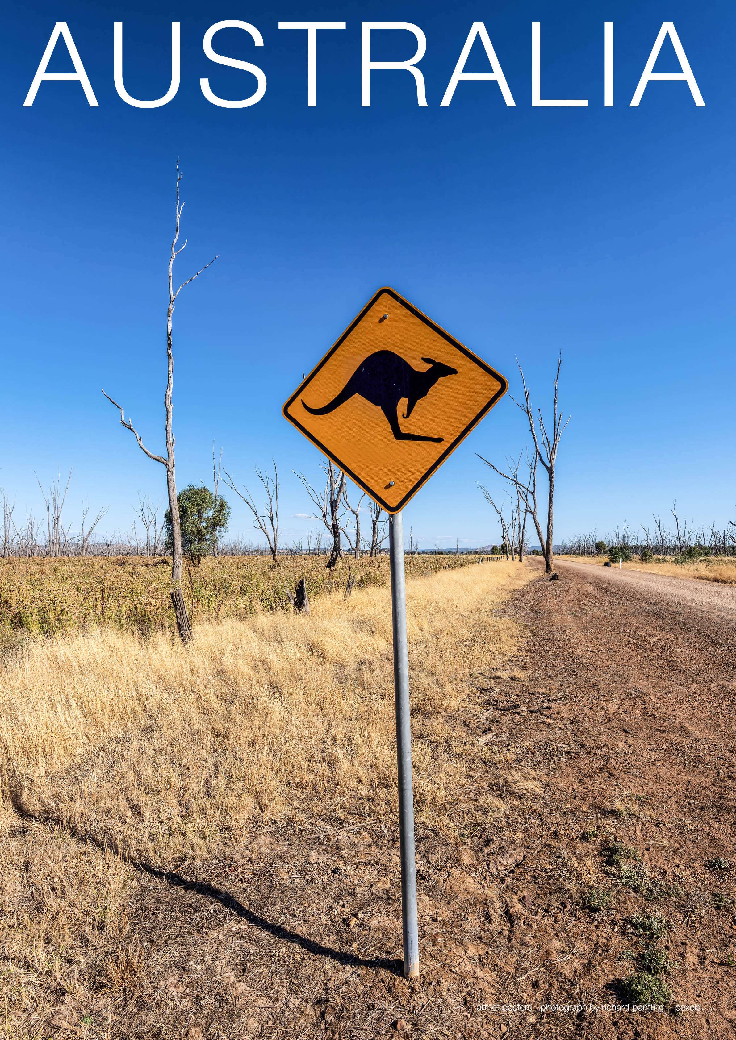 Kangaroos sign poster