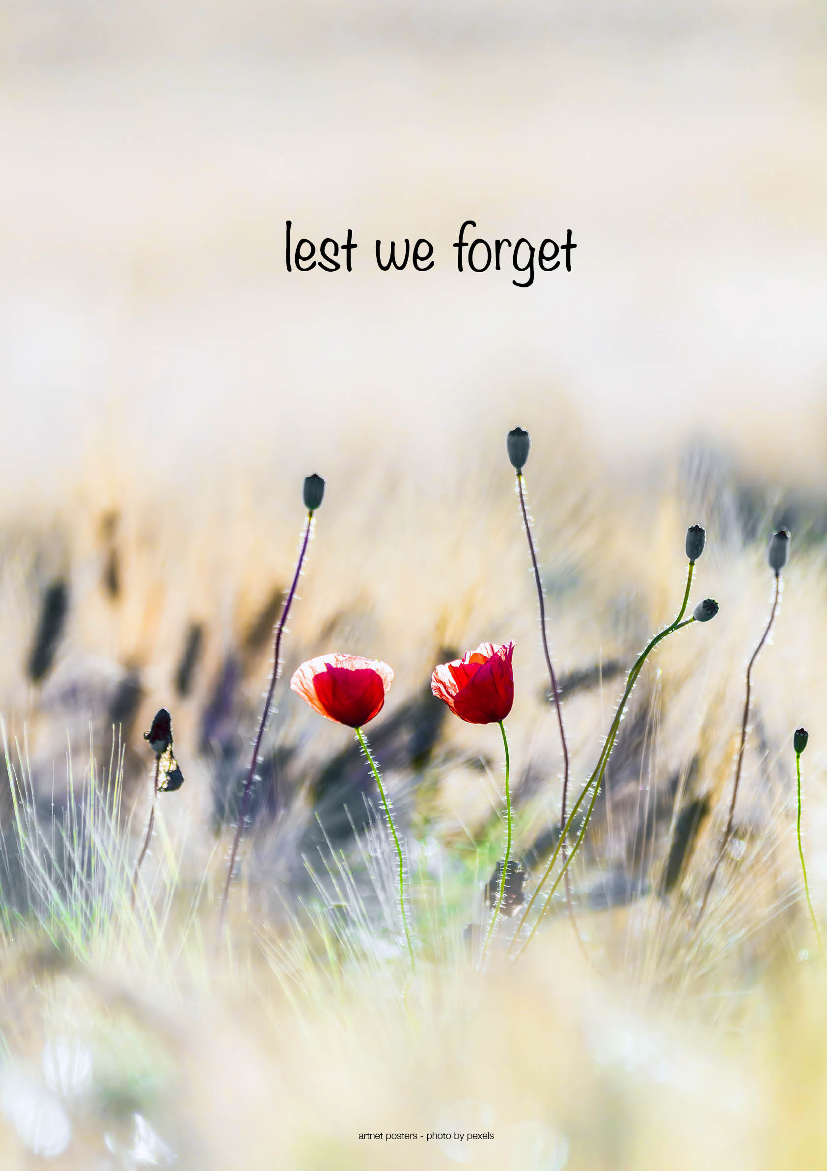 Lest We Forget poster