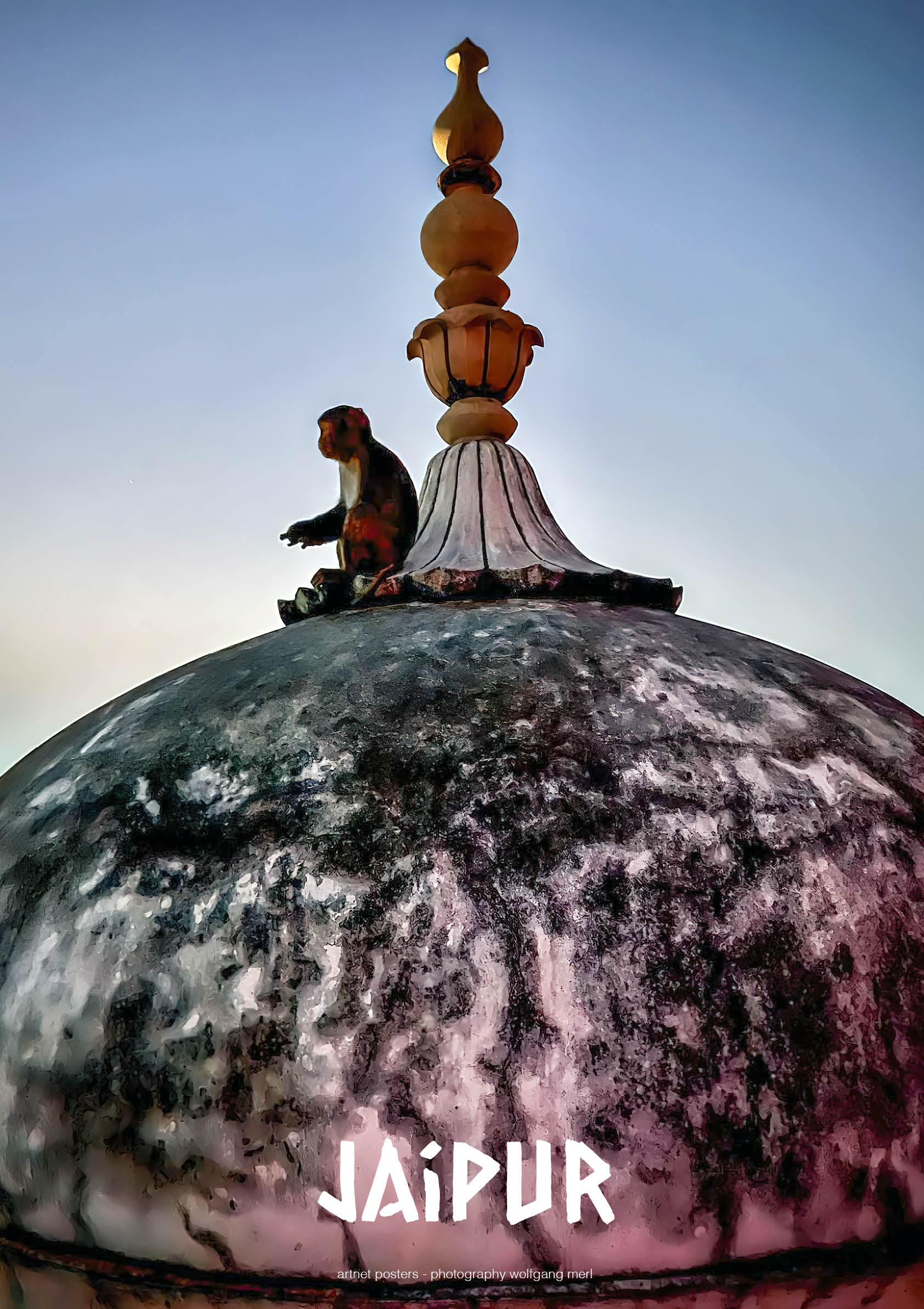 The Monkey Temple, Jaipur poster