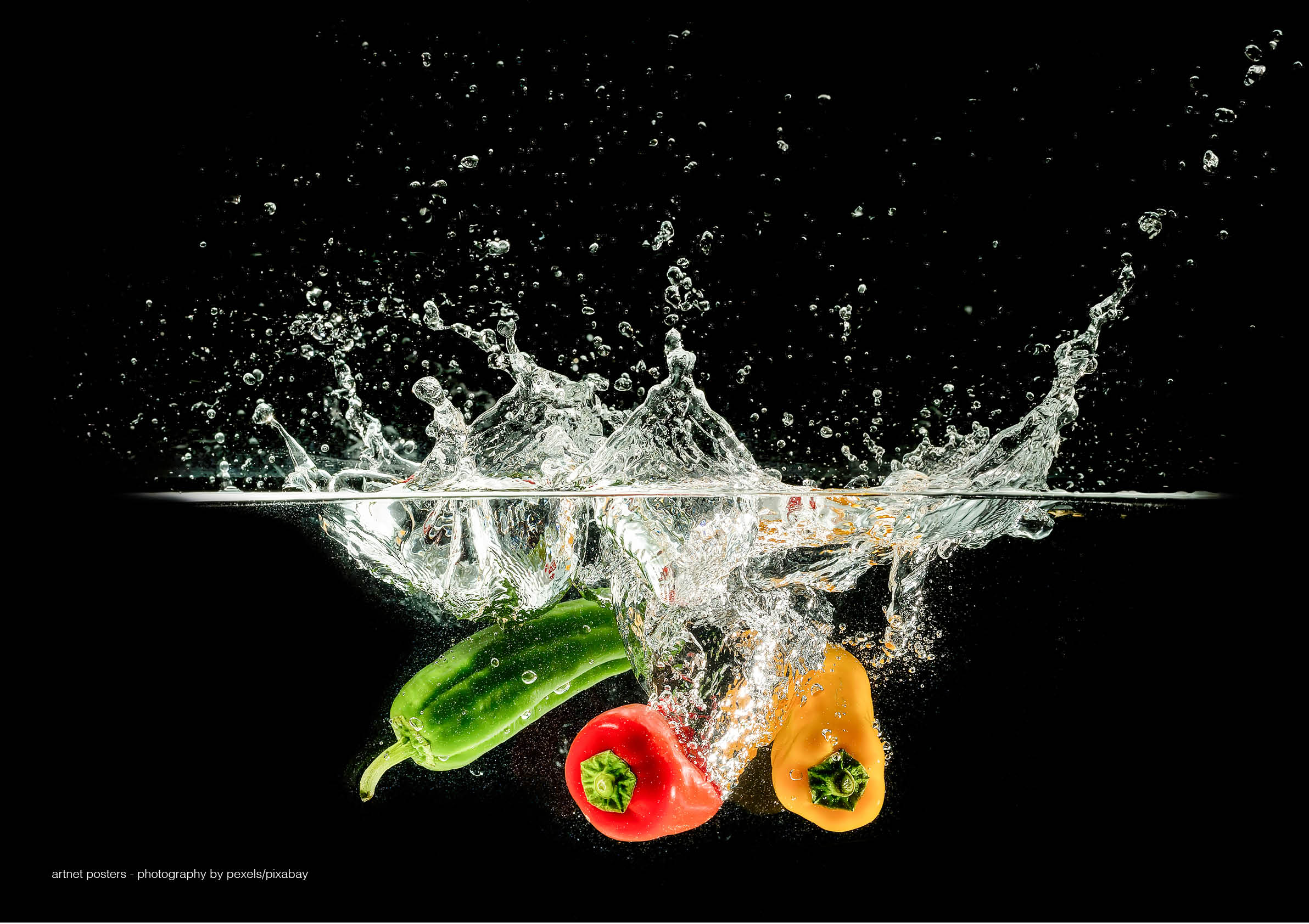 Splash of Colour vegetables poster