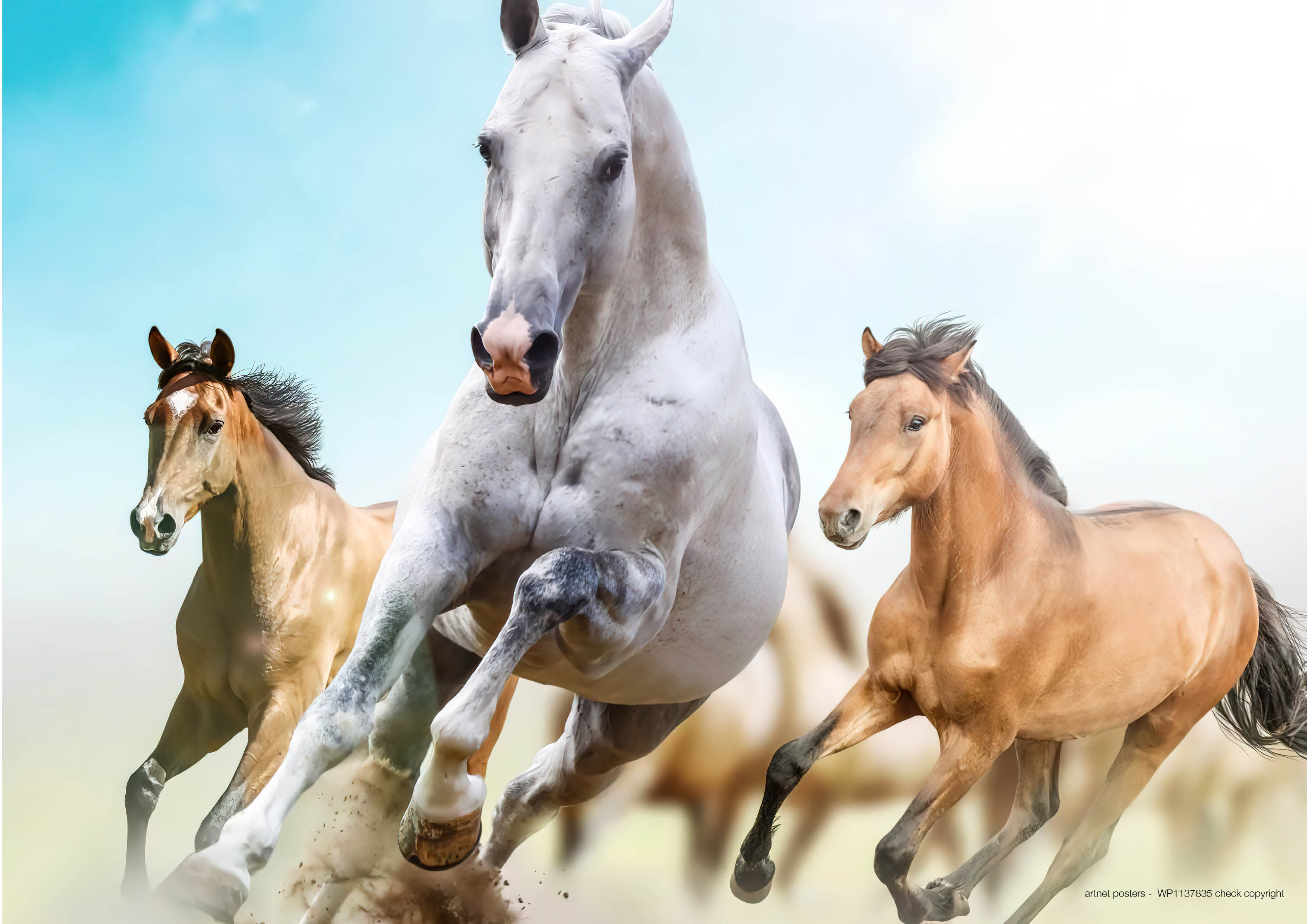 Running Horses poster