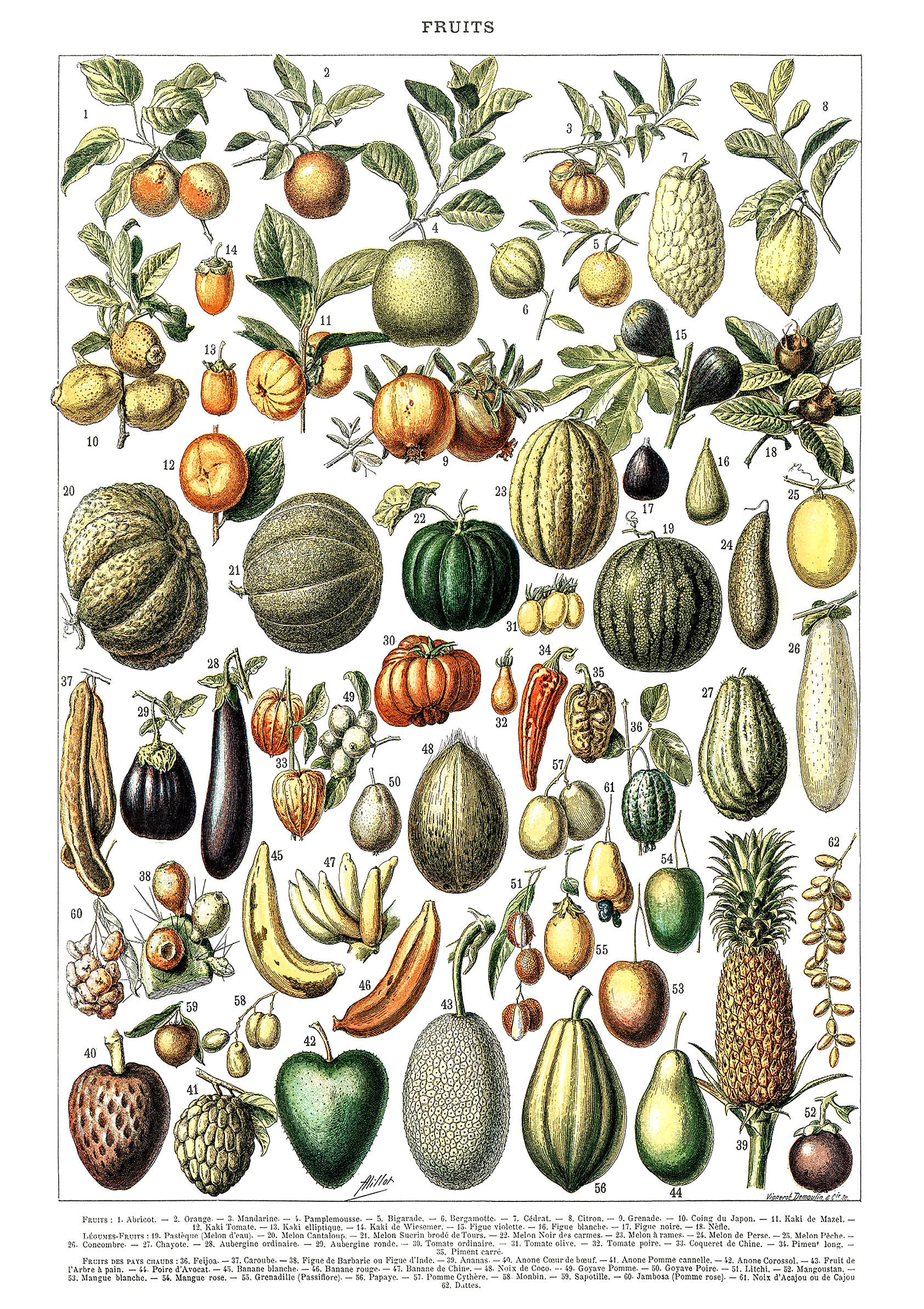 Vintage Vegetables poster