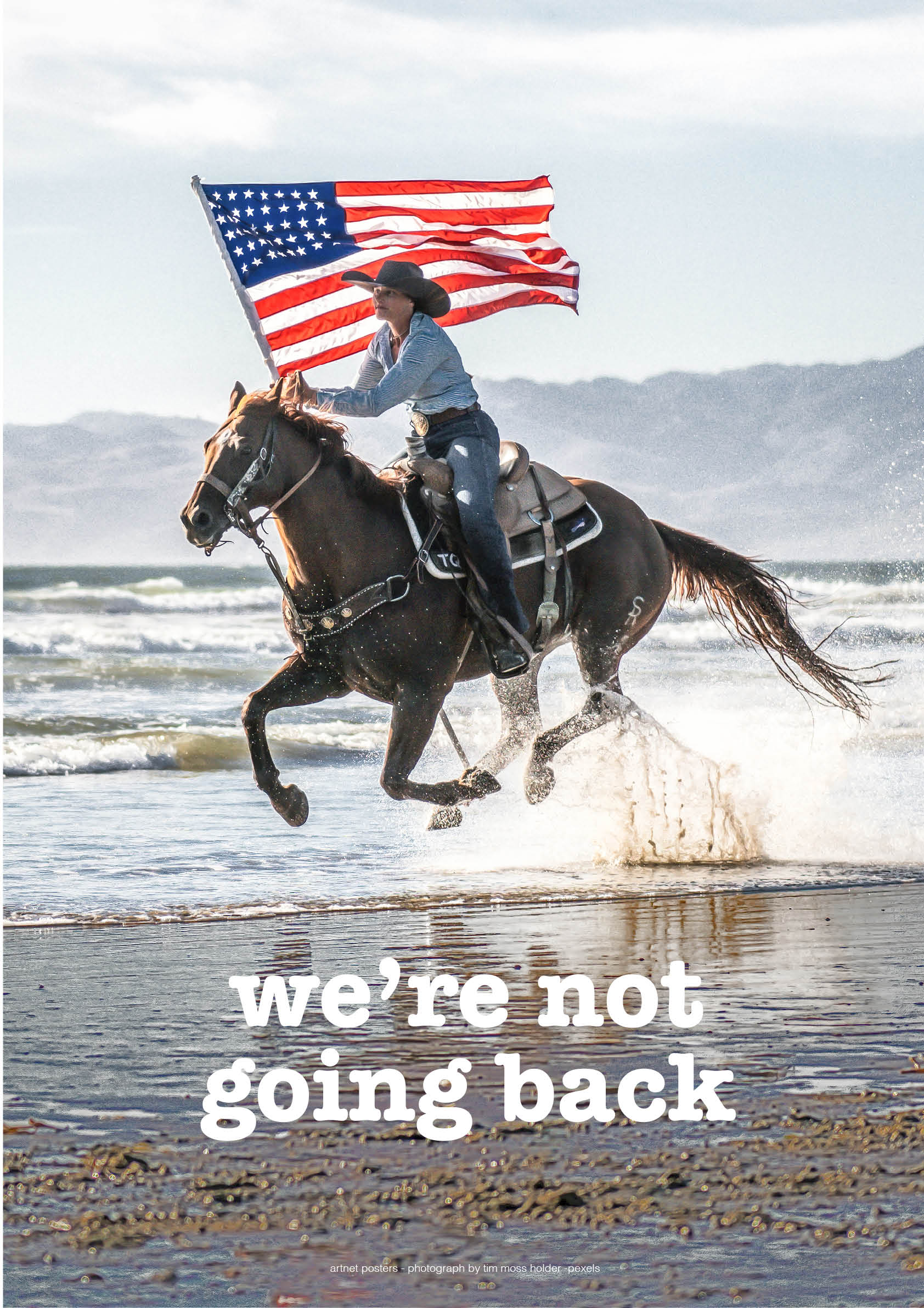 We're not going back horse poster